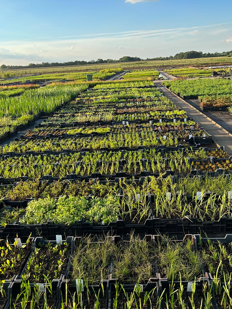 Grootste assortiment