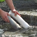 AquaActiv PhoLess Navulverpakking spoelen