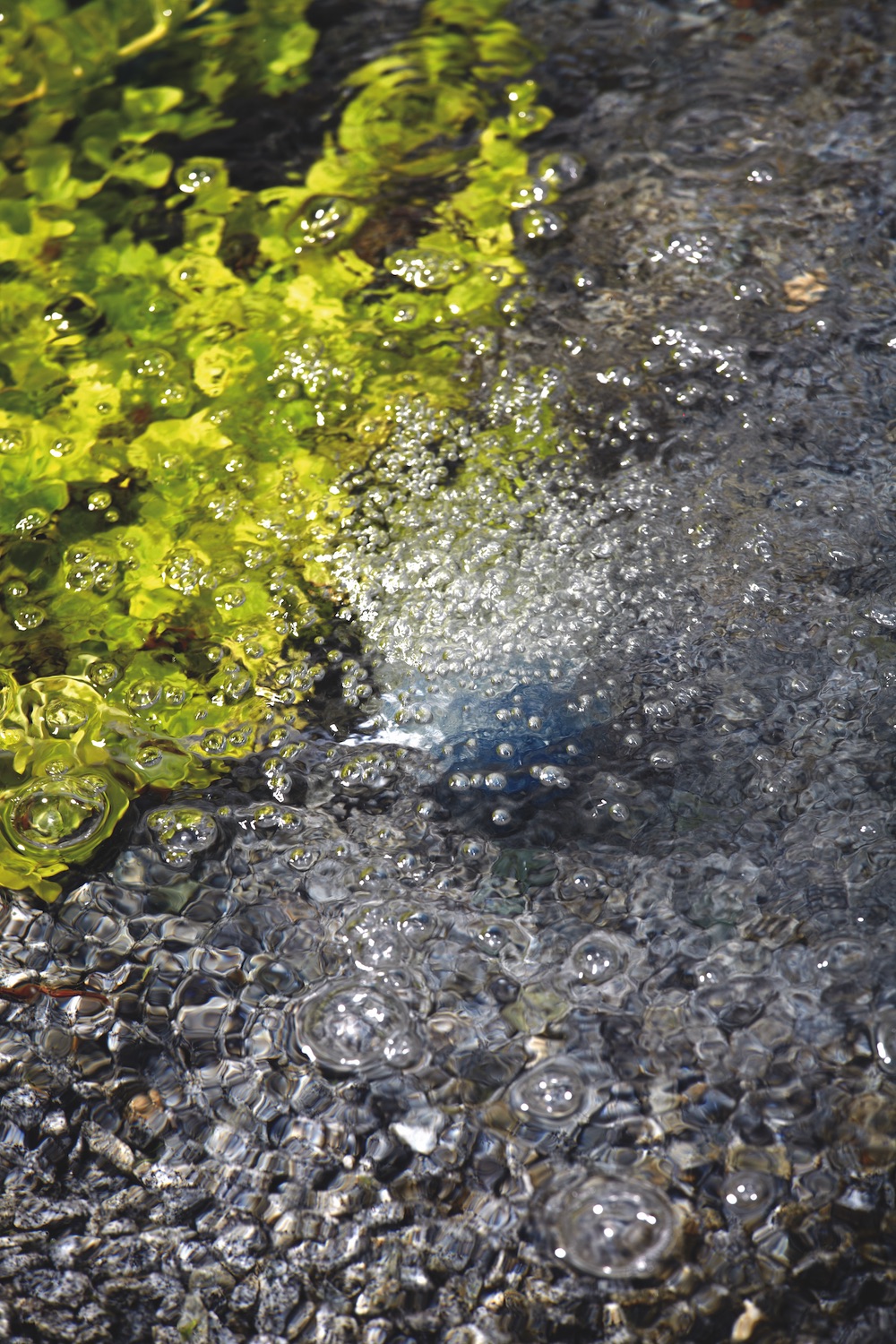 Oase AquaOxy 500 vijver