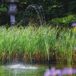 Oase Aquarius Fountain Set Classic 2000 E bestellen