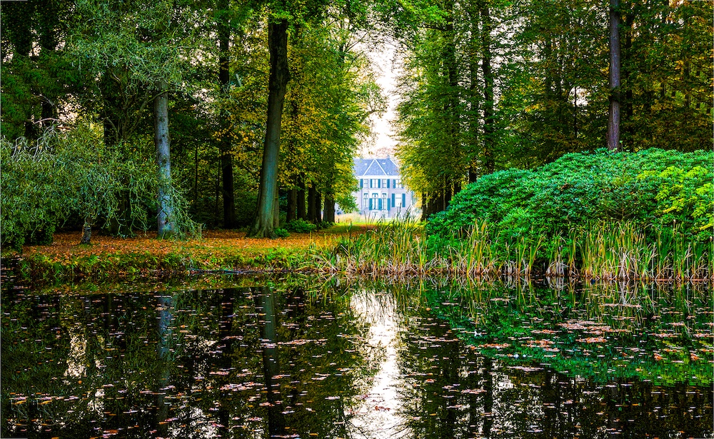 Begrijp waarom reigers jouw vijver bezoeken