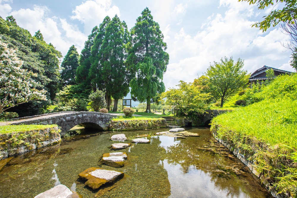 Combineer filtertechniek met natuurlijke ondersteuning