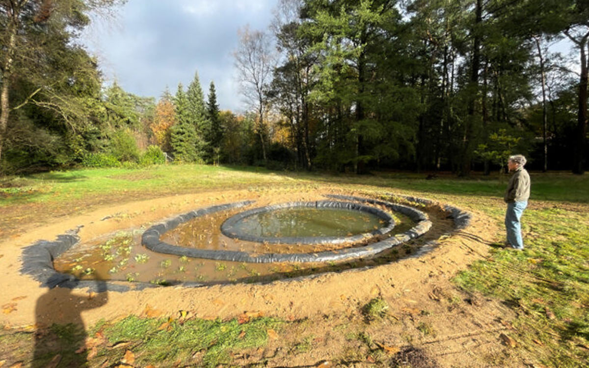 De opstartfase van de vijver: waarom ingrijpen vaak meer kapotmaakt dan oplost