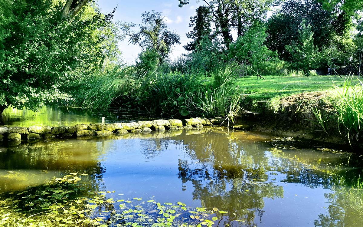 Kies filtering die past bij jouw vijver