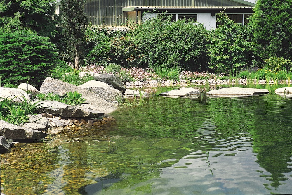 Ontwerp de vijver met techniek in gedachten