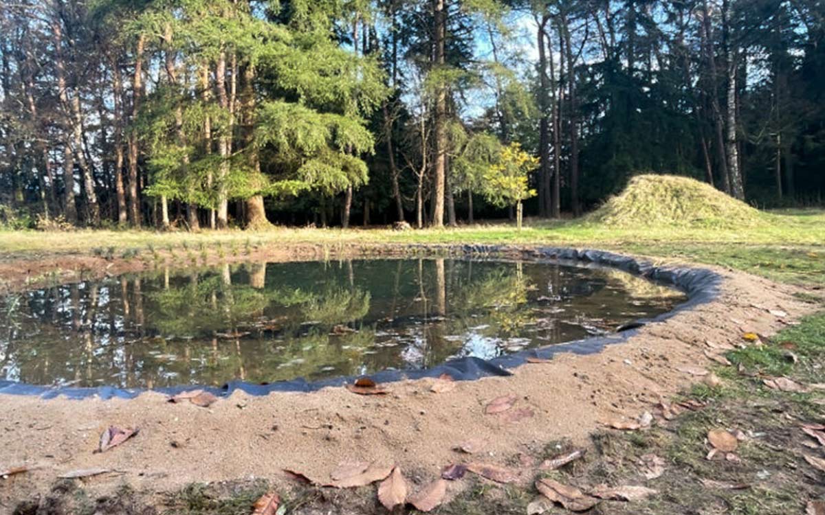 Pompgrafiek lezen in de praktijk: zo bepaal je het werkelijke debiet van je vijverpomp