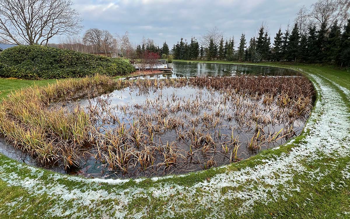 Regelbare vijverpomp: wanneer levert regelbaarheid echt voordeel op