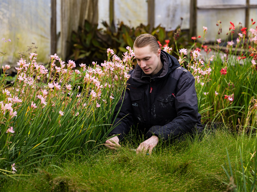 Vijver met plantenfilter maken