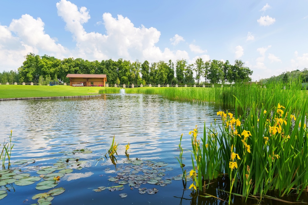 Voedingsstoffen beperken om algen te verwijderen
