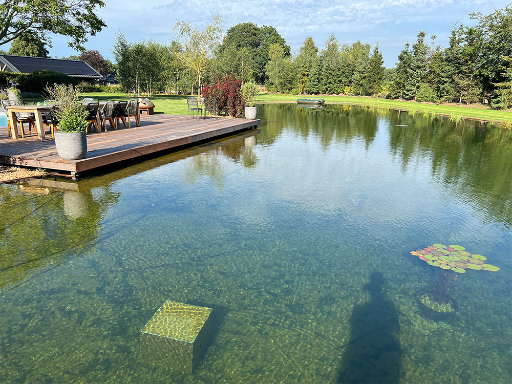 Voorkomen dat algen terugkeren