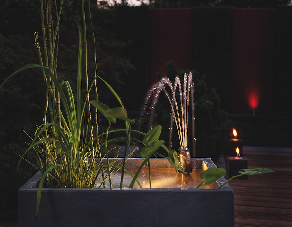 Wanneer een plantenfilter ondersteuning nodig heeft