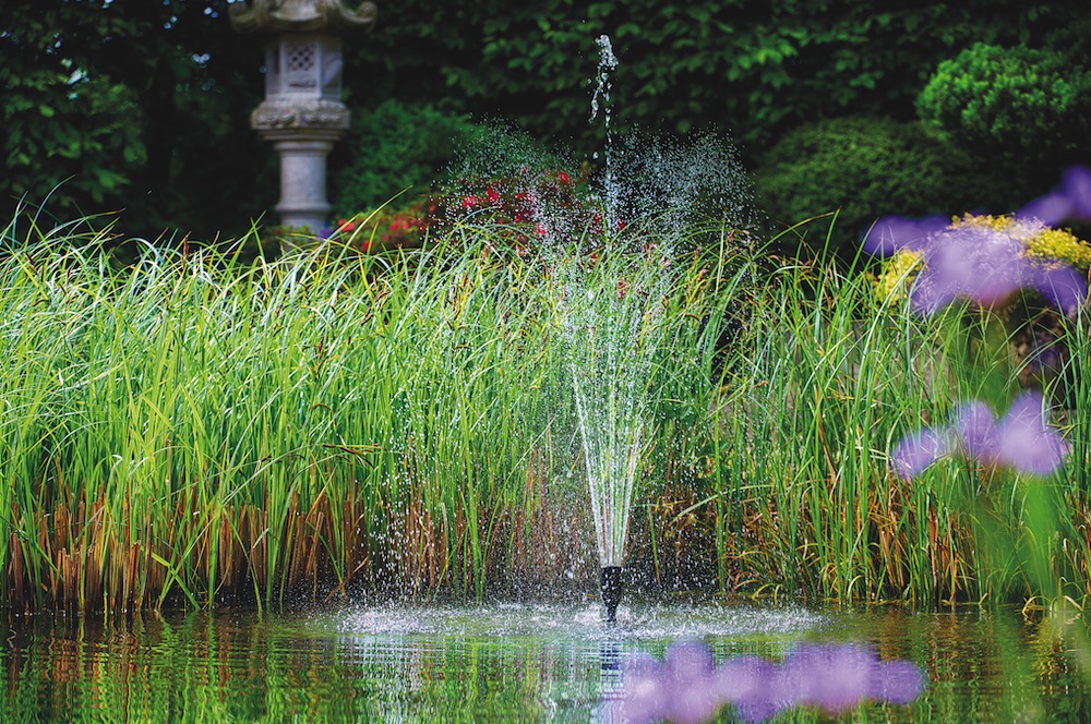 Waterbeweging en oppervlakteafvoer als rem op kroosgroei