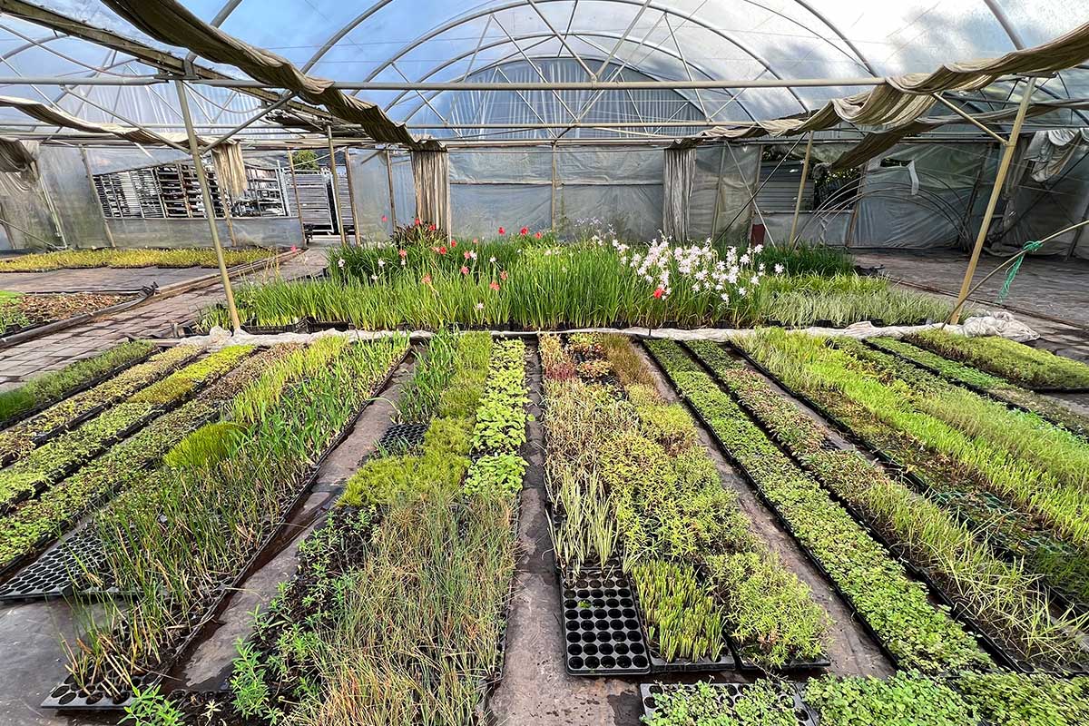 Compleet assortiment