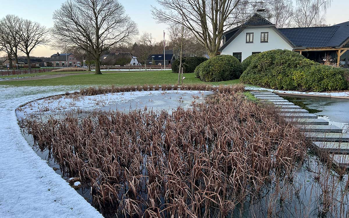 Vijvertips - Vijver beplantingsplan