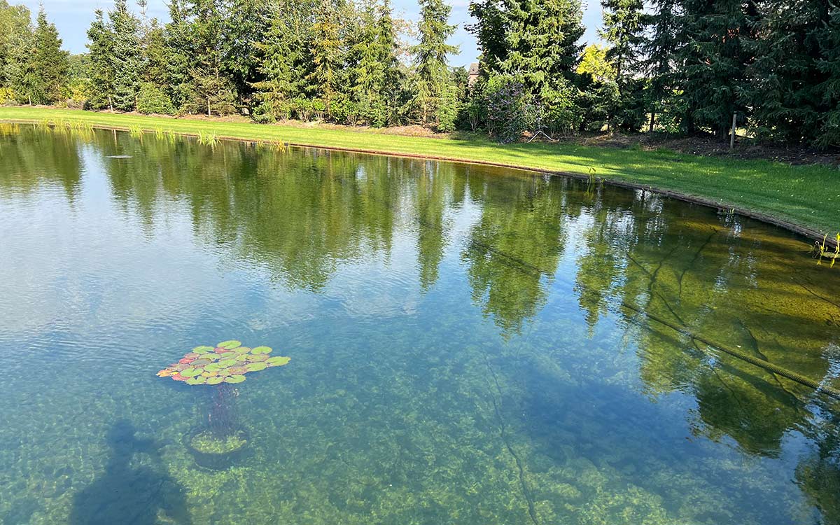 Vijvertips - Vijver helder maken met filters