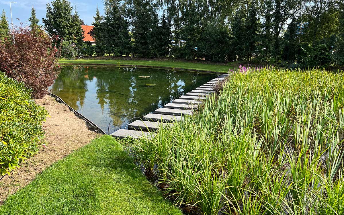 Vijvertips - Vijver inrichten