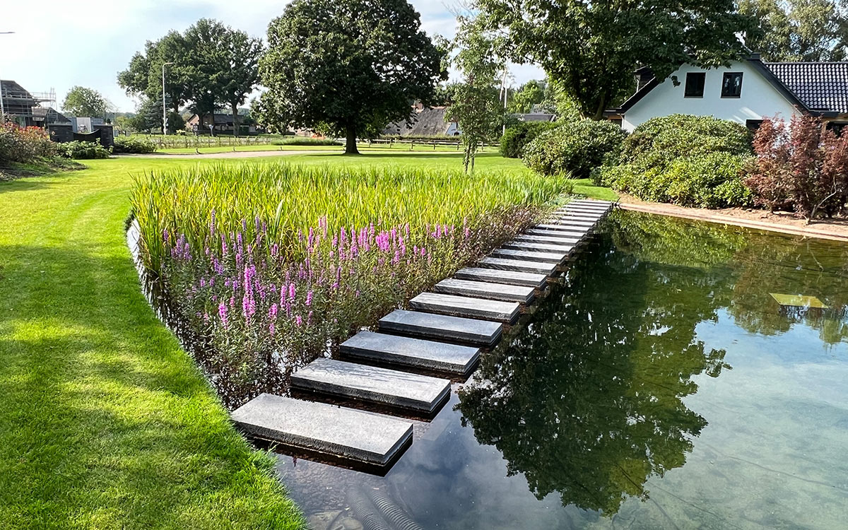 Vijvertips - Vijver met plantenfilter maken