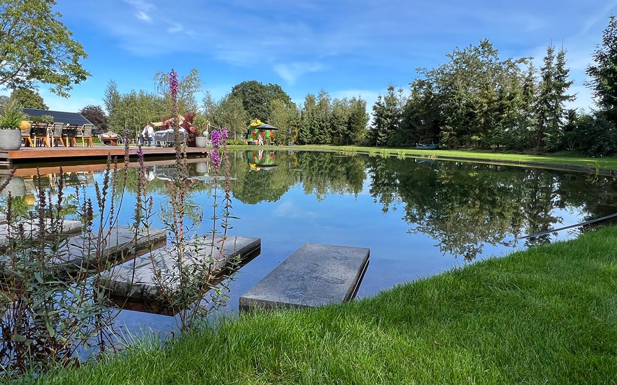 Vijvertips - Waterkwaliteit vijver